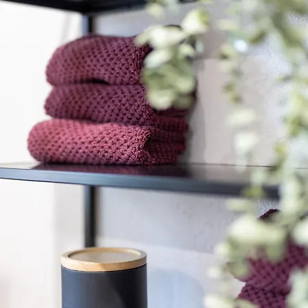 Apartment Heimbi-home No 5, 8 People, Europapark, E-ladesaeule Kappel-Grafenhausen